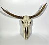 Picture of Animal Skulls - Lifesize replicas in Latex from movie