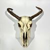 Picture of Animal Skulls - Lifesize replicas in Latex from movie