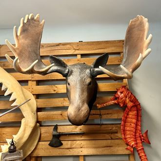 Picture of Wall-Mounted Moose Head (Fibreglass)